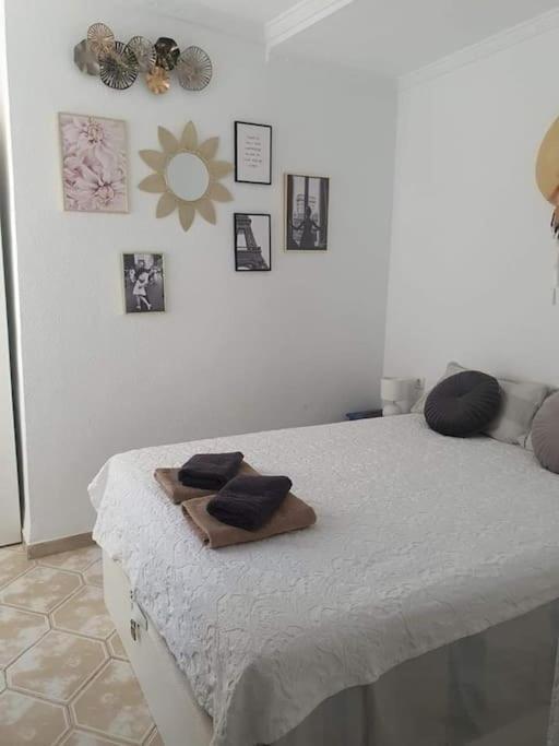 Costa Blanca Family Apartments One Bedroom Apartment Torrevieja Buitenkant foto